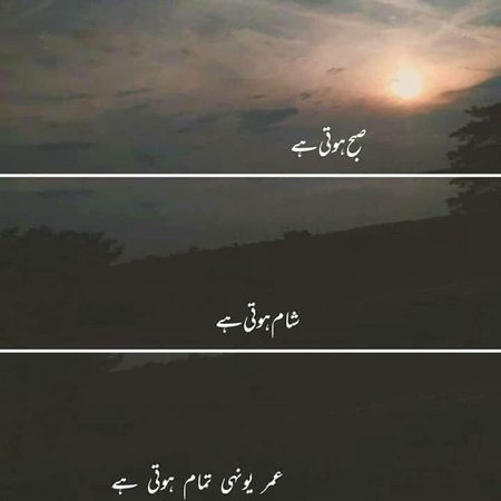 OR BAS PHIR YOUHI UMAAR TAMAM HOYI HA♨️♨️♨️