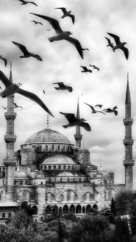 Photography__turkey 💕💕