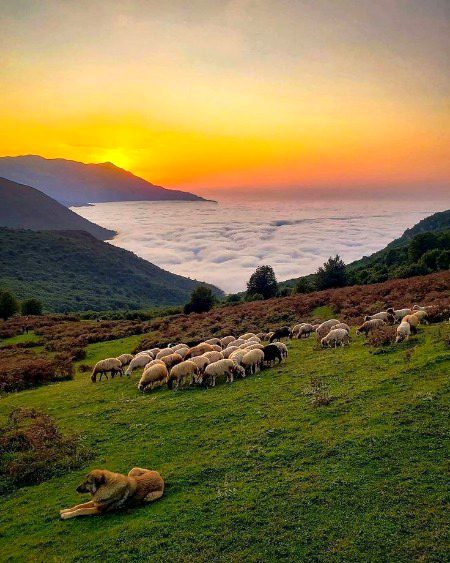 Beautiful Nature image