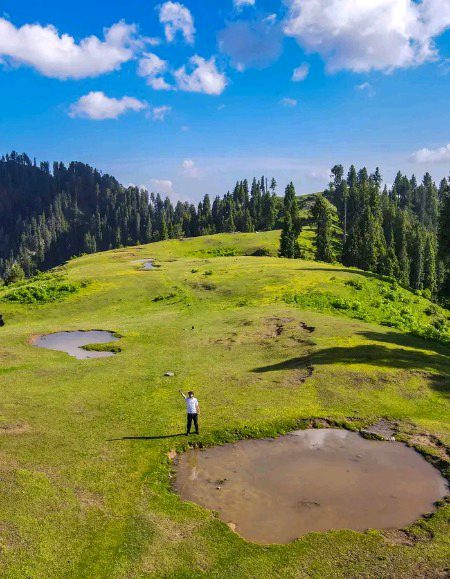 Beautiful Nature image