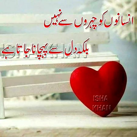Saanaam ❣️❣️