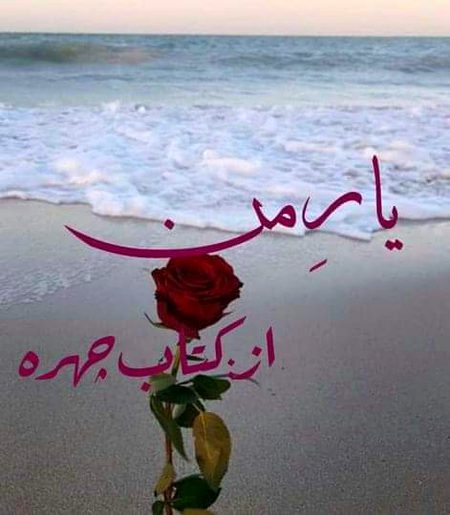 Romantic Novels image