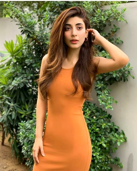Pakistani Celebs image