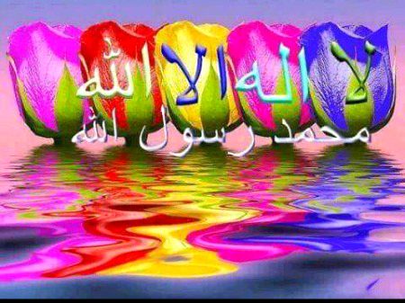 Islamic Quotes image