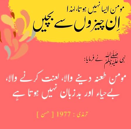 Islamic Quotes image