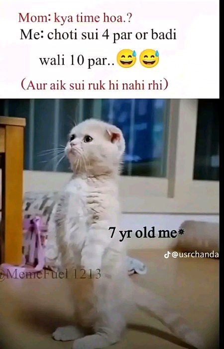 Memes & Satire image