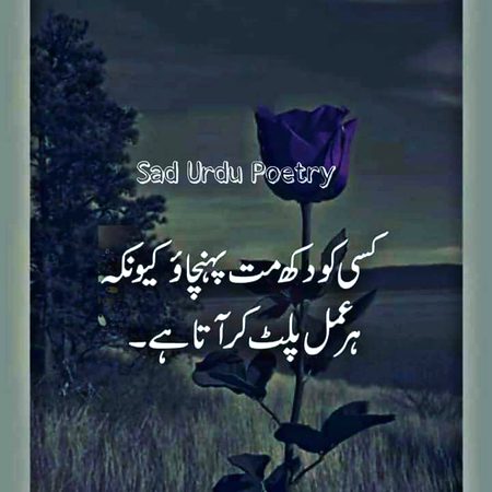 Right😊😊