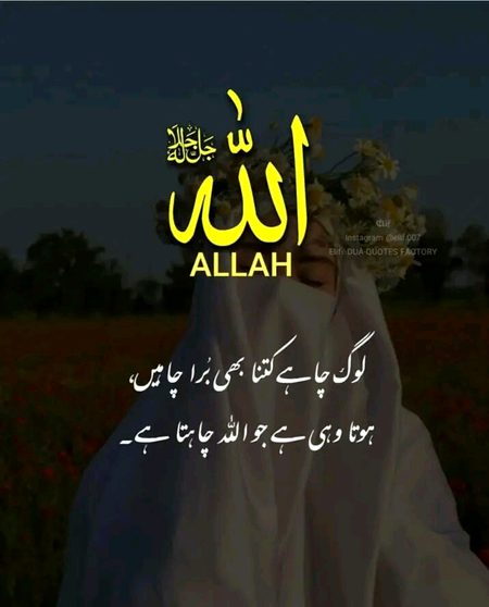 Islamic Quotes image