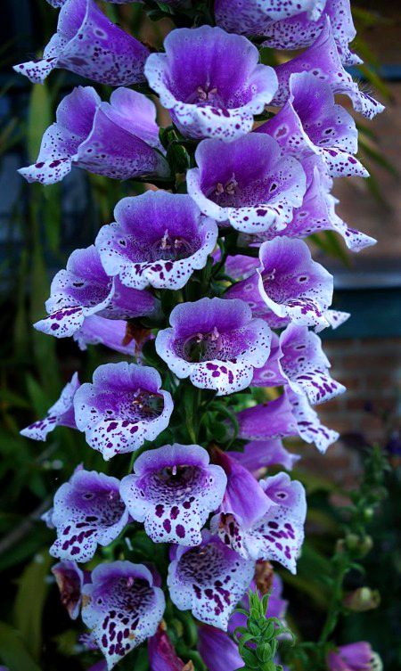 Beautiful Nature image