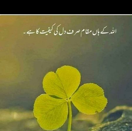 Islamic Quotes image