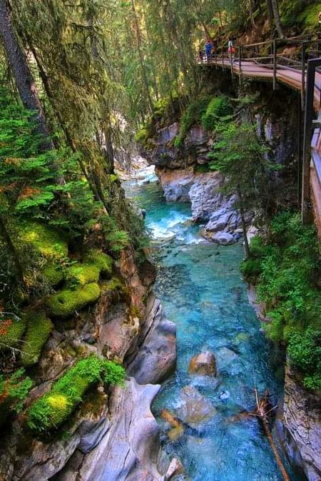 Beautiful Nature image