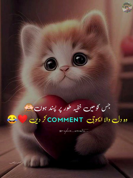 Memes & Satire image