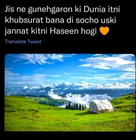 Memes & Satire image