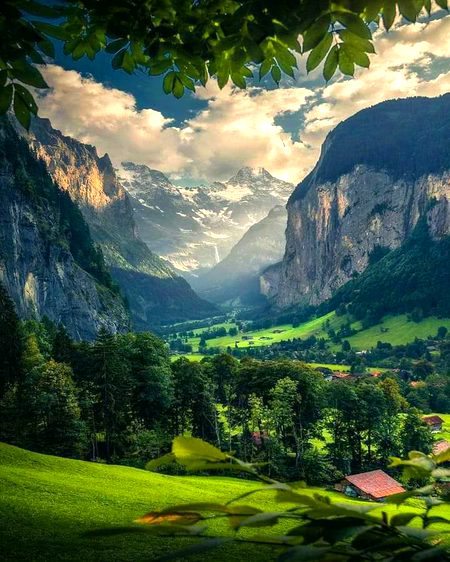 Beautiful Nature image