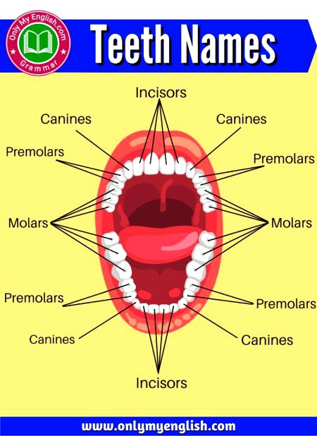 Tips for Students image
