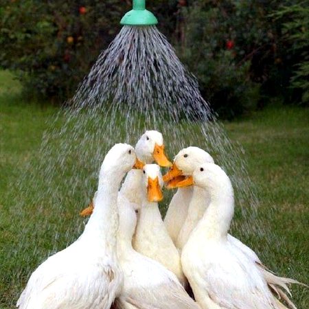 Beautiful Nature image