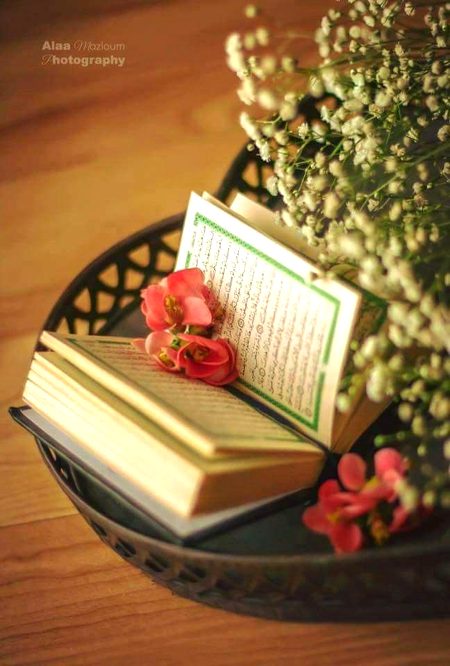 🍂بدبخت ہے وہ !!
🍂جس نے تعمیر ِذات اور کامیاب زندگی پر
درجنوں کتب پڑھیں !!
جبکہ اسکے پاس پڑا *قرآن مجید* گردآلود ہوتا رہا!