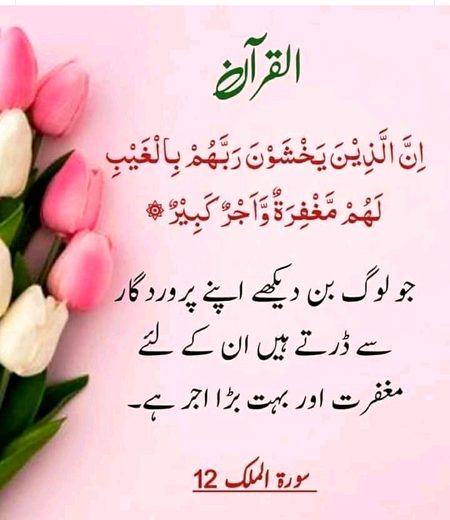 Islamic Quotes image