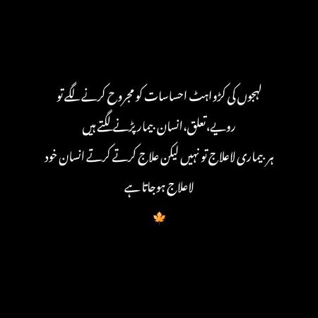 ۔۔💕💕💕۔۔