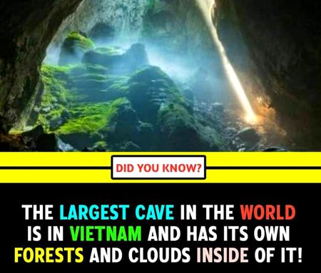 Interesting Posts image