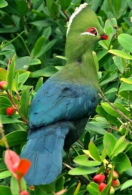 Beautiful Nature image