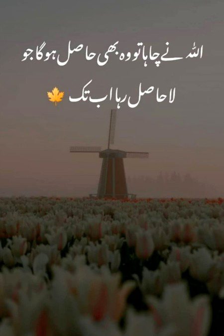 Islamic Quotes image