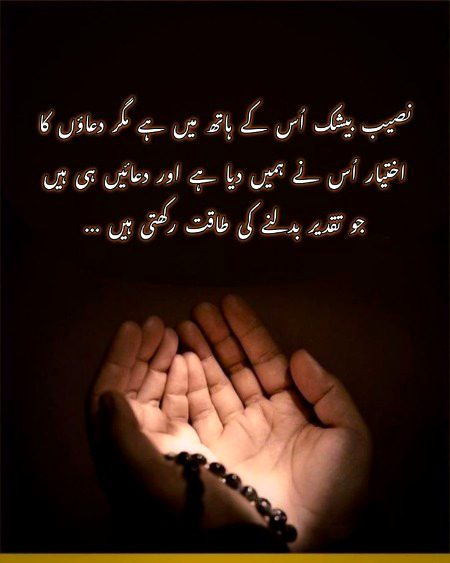 Beshak
🌹merijan-16🌹