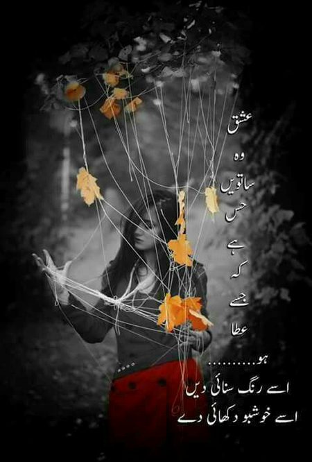 Damadam.pk