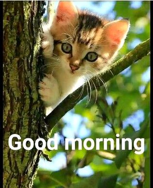 Beautiful Nature image