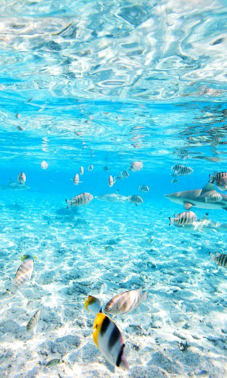 Beautiful Nature image