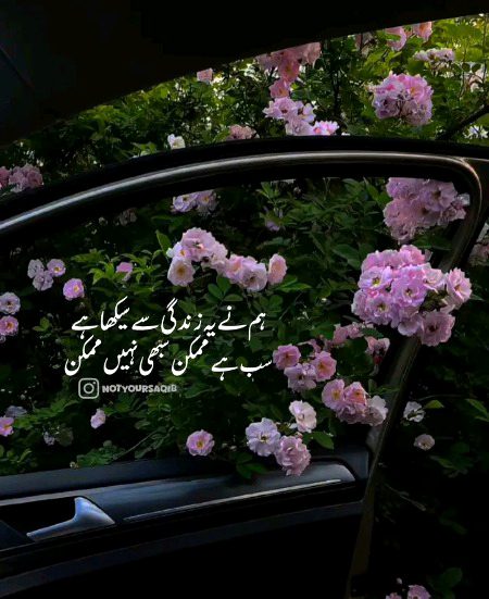 بلکل 💥💥💕💐