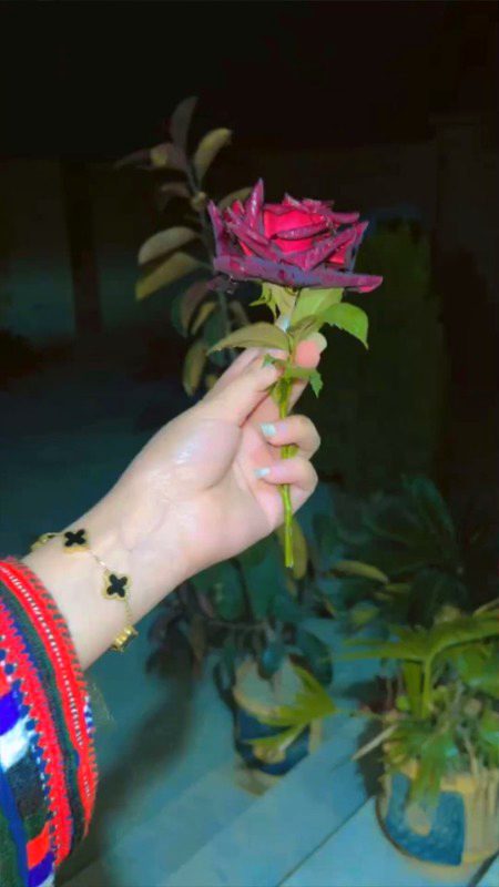 Hello assalamualaikum aj Kafi din baad yuh chakar Lagaya 🥰