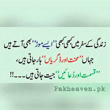 🍁Zoq_Shab🍁