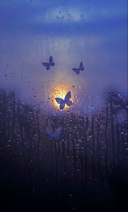 Beautiful Nature image