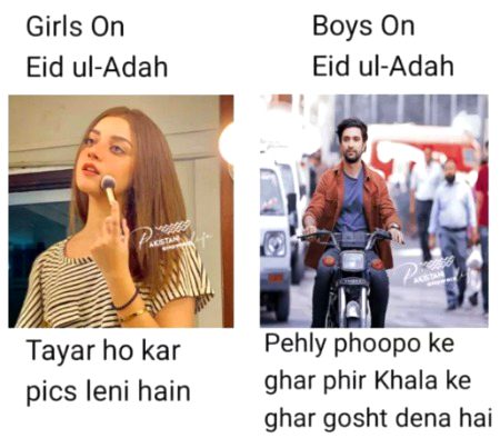 Memes & Satire image