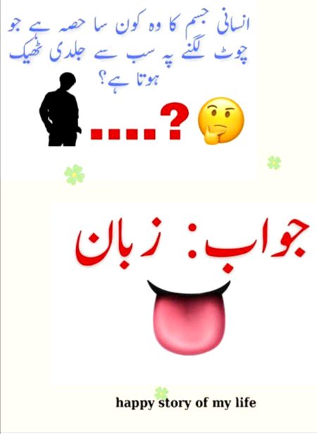 Riddles & Puzzles image