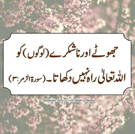 Islamic Quotes image