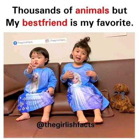 Memes & Satire image