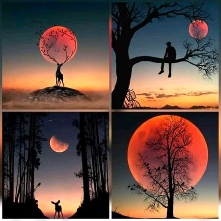 Natural View😍❤🔥