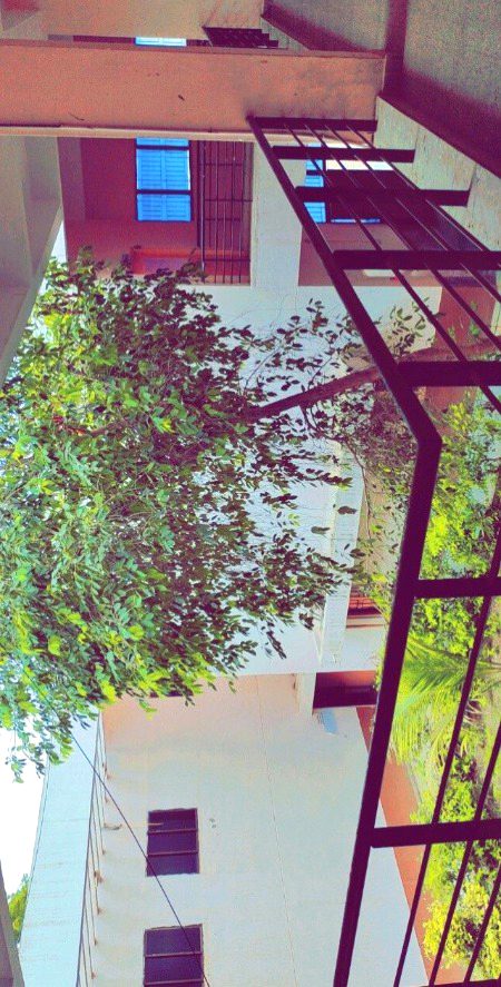 Beautiful Nature image