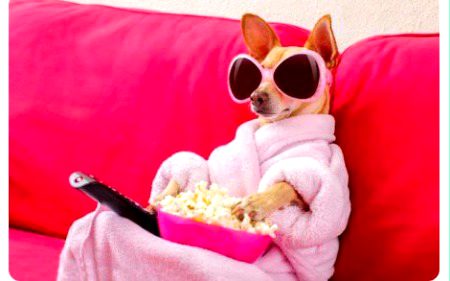 Beautiful Nature image