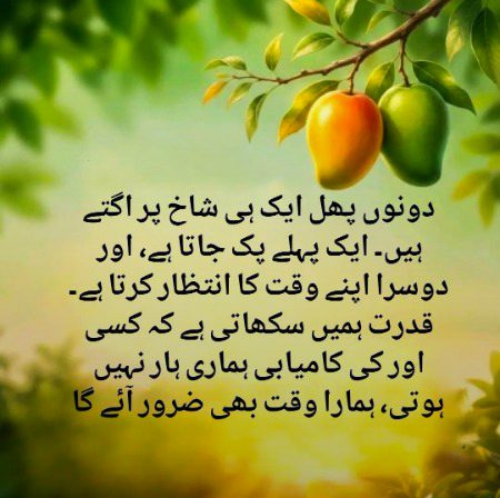 نہ قلت نہ کثرت کی، بات ہے عزم وہمت کی 🌿🌿🌿
کٹے ہیں آبشاروں سے، پہاڑوں کے جگر کتنے🌿🌿🌿