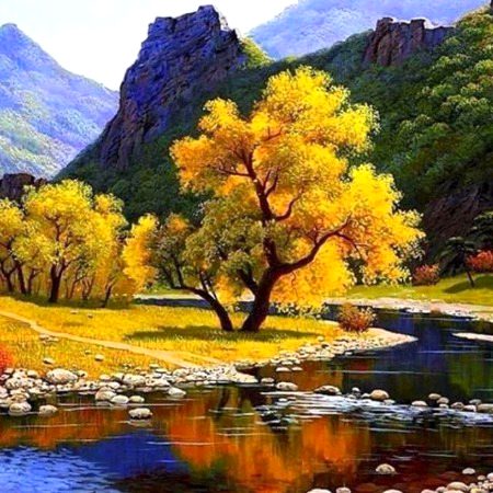 Beautiful Nature image