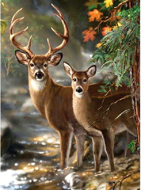 Beautiful Nature image