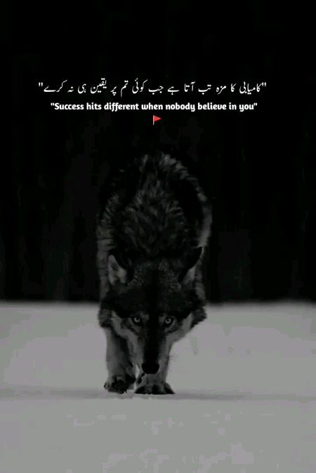 🌿  سامنے والا ہمیشہ غلط نہیں ہوتا