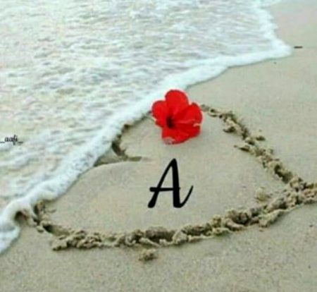 جو دل کو قبول ہوتے ہیں۔۔۔
ان کے پتھر بھی پھول ہوتے ہیں۔۔۔۔