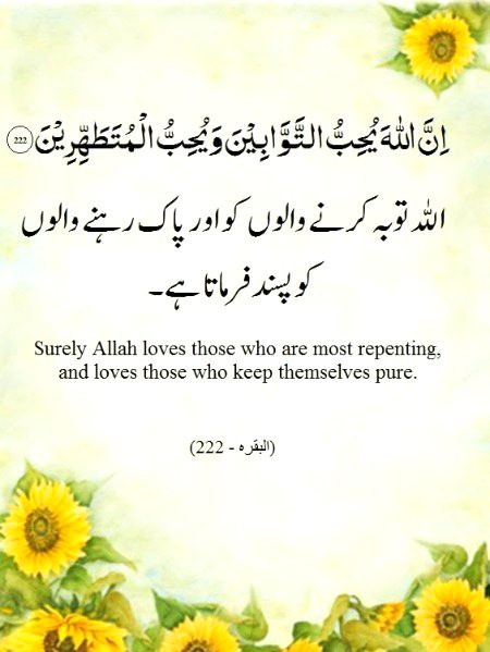 Islamic Quotes image