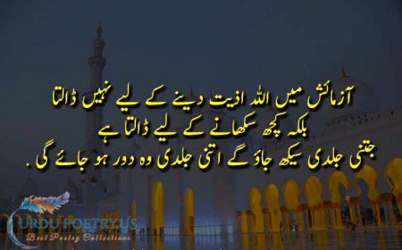 Islamic Quotes image