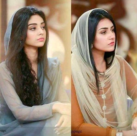 Pakistani Celebs image