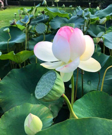 Beautiful Nature image